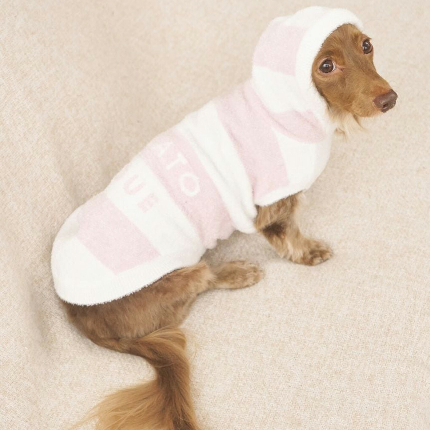 楽天市場】ジェラートピケ gelato pique CAT&DOG スムーズィーダックス