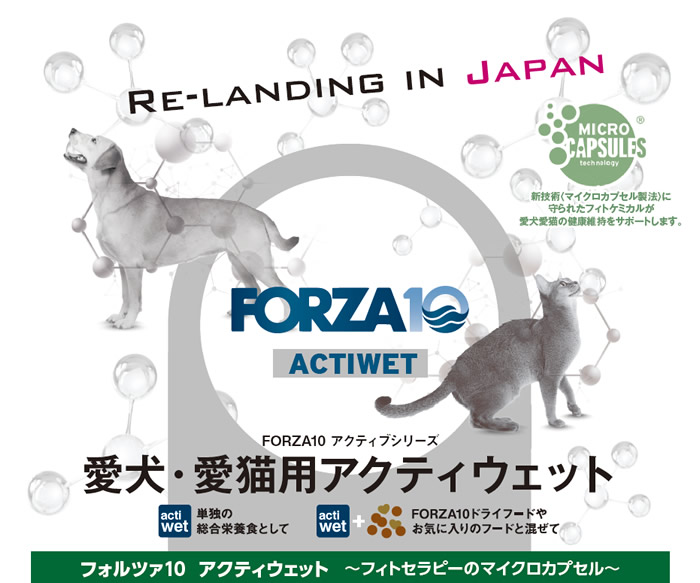 楽天市場】【32個セット】フォルツァ10 ドッグ アクティウェット