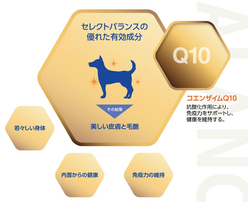 楽天市場】☆おまけ(定価770円)×1袋付き☆セレクトバランス アダルト