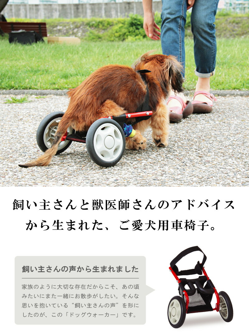 楽天市場】犬用車椅子 車いす ミニチュアダックスフンド専用 日本製 犬