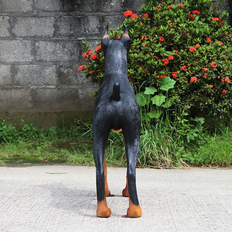 楽天市場】ドーベルマン Standing Doberman 強化プラスチック (FRP