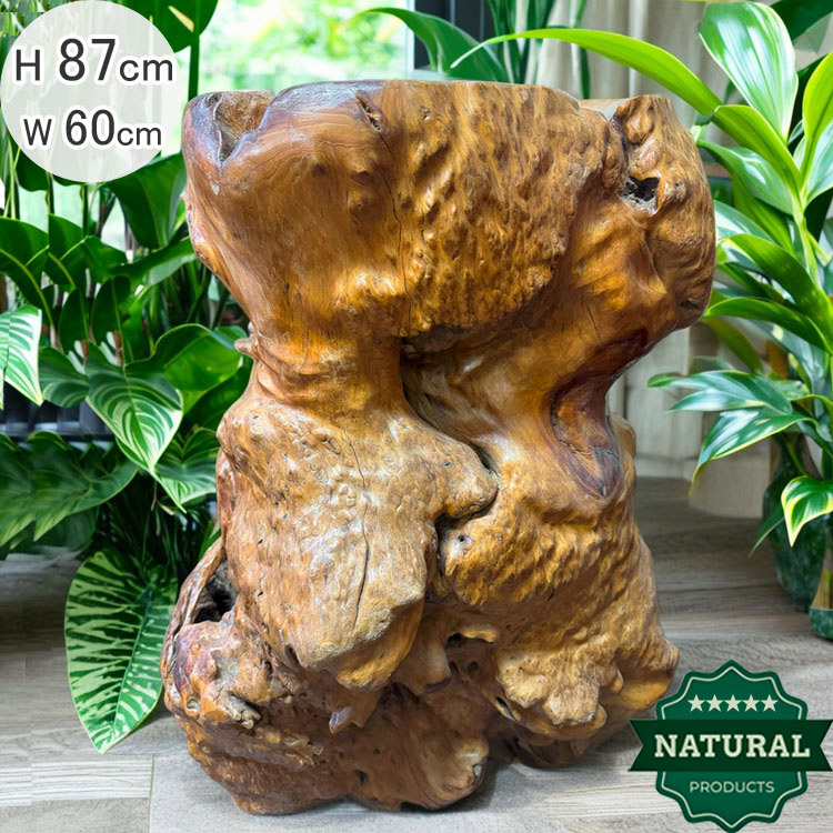 御神木 アート インテリア 生花 オブジェ 御神木 アート インテリア