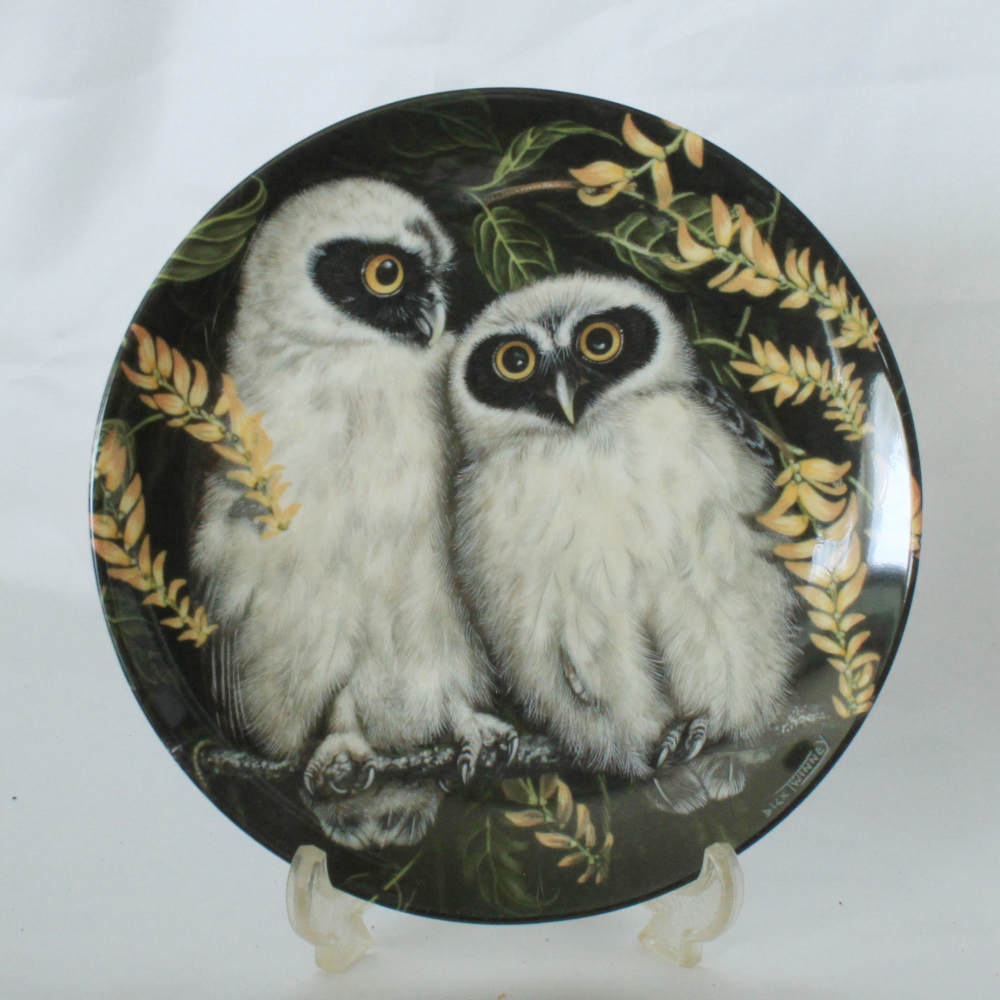 ビンテージ 稀少品 絵皿 フクロウ 大皿 プレート 飾り皿 ビンテージ