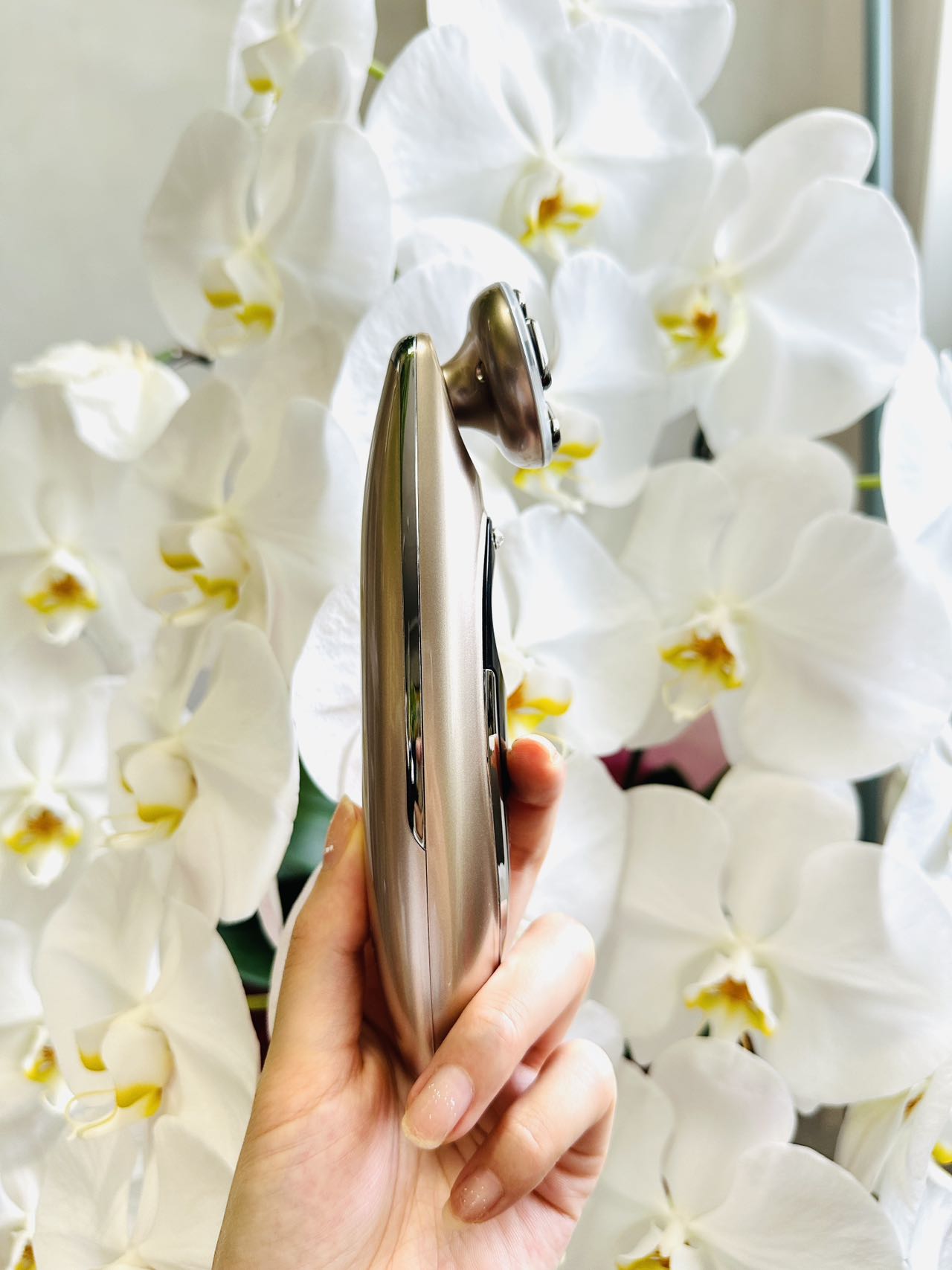 楽天市場】【正規品】美顔器 Miss Arrivo Ghost (ミスアリーヴォ