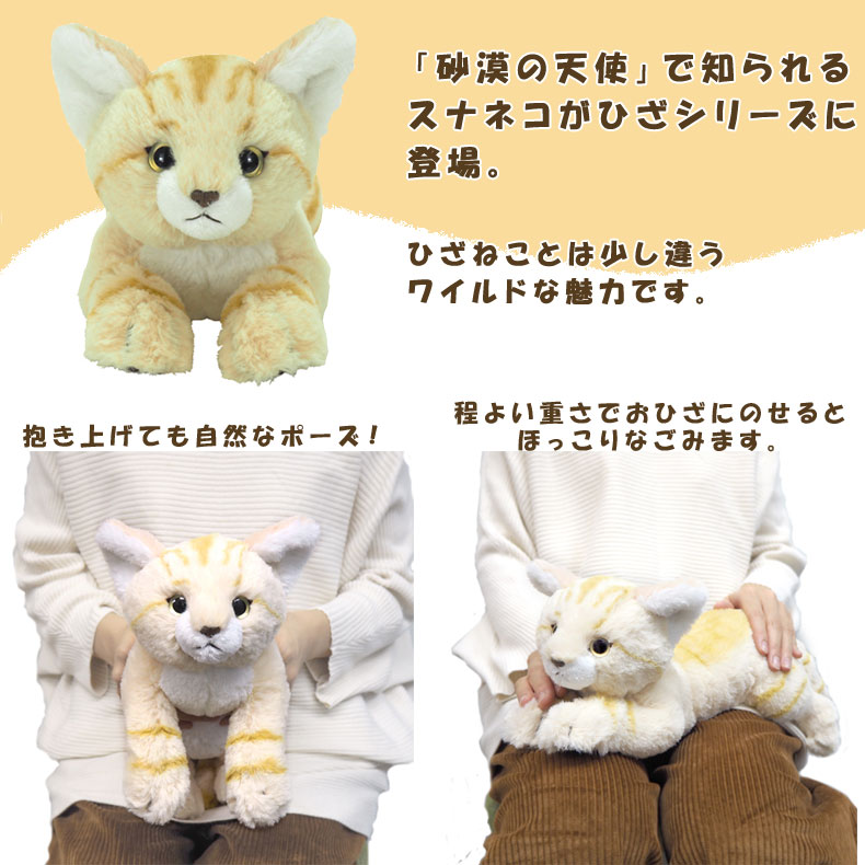 楽天市場】ひざすなねこ ぬいぐるみS すなねこ スナネコ おもちゃ 砂漠