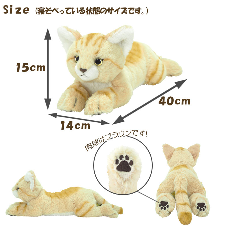 楽天市場】ひざすなねこ ぬいぐるみS すなねこ スナネコ おもちゃ 砂漠