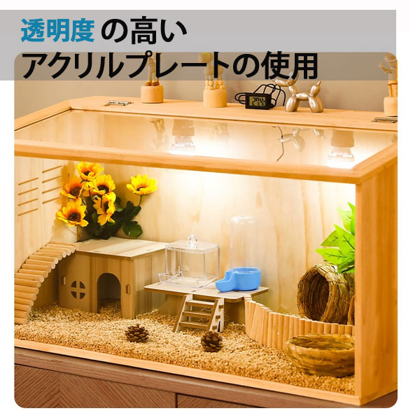 楽天市場】飼育ケース80cm 飼育ケース 飼育ケージ 大型ケージ ケージ