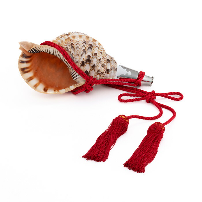 楽天市場】【 伊勢 宮忠 】【 No.76 法螺貝（ほら貝） 14インチ 】全長