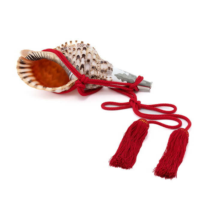 法螺貝 ほら貝 インテリア 素材 魔除け 法螺貝 ほら貝 インテリア 素材