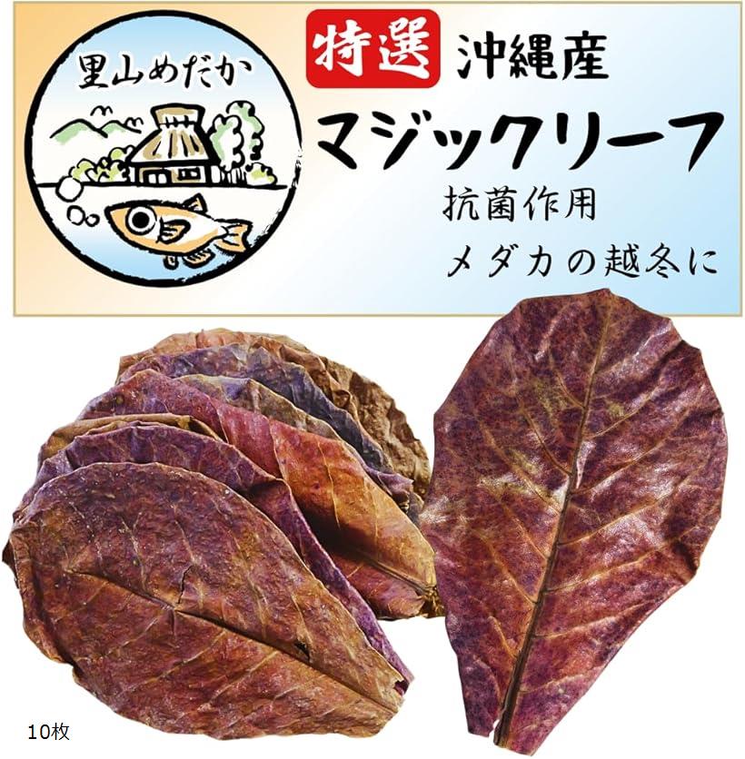 楽天市場】マジックリーフ モモタマナ 国産 水質改善 ベタリーフ