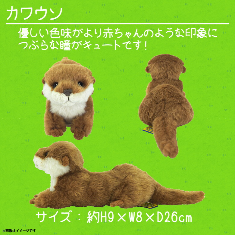 楽天市場】ぬいぐるみ カワウソ かわうそ ベージュ Sサイズ【P-7002