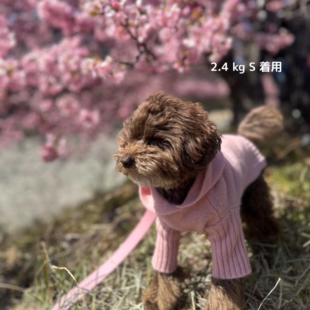 楽天市場】サイズ交換無料 woolwag カシミア フーディー 4色 犬服 冬