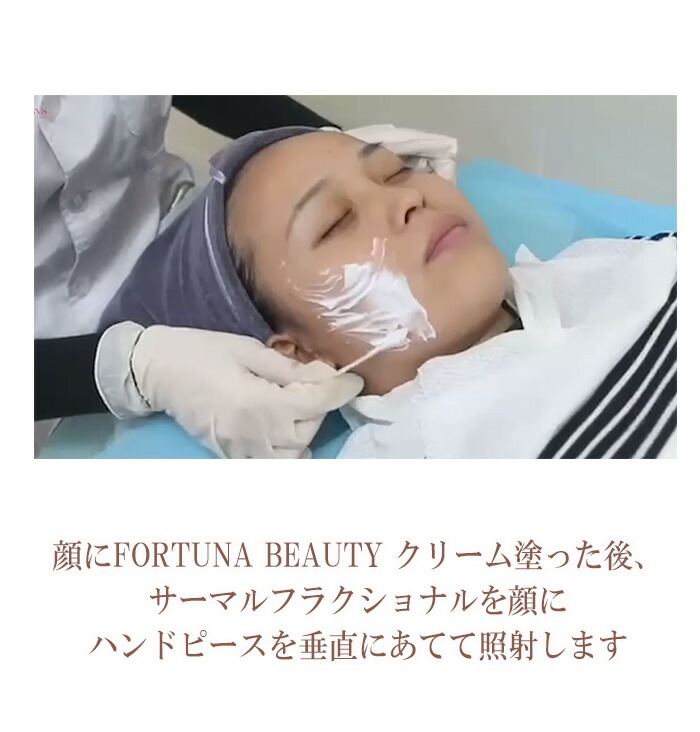 楽天市場】業務用美容機器 サーマルフラクショナル : moise 楽天市場店