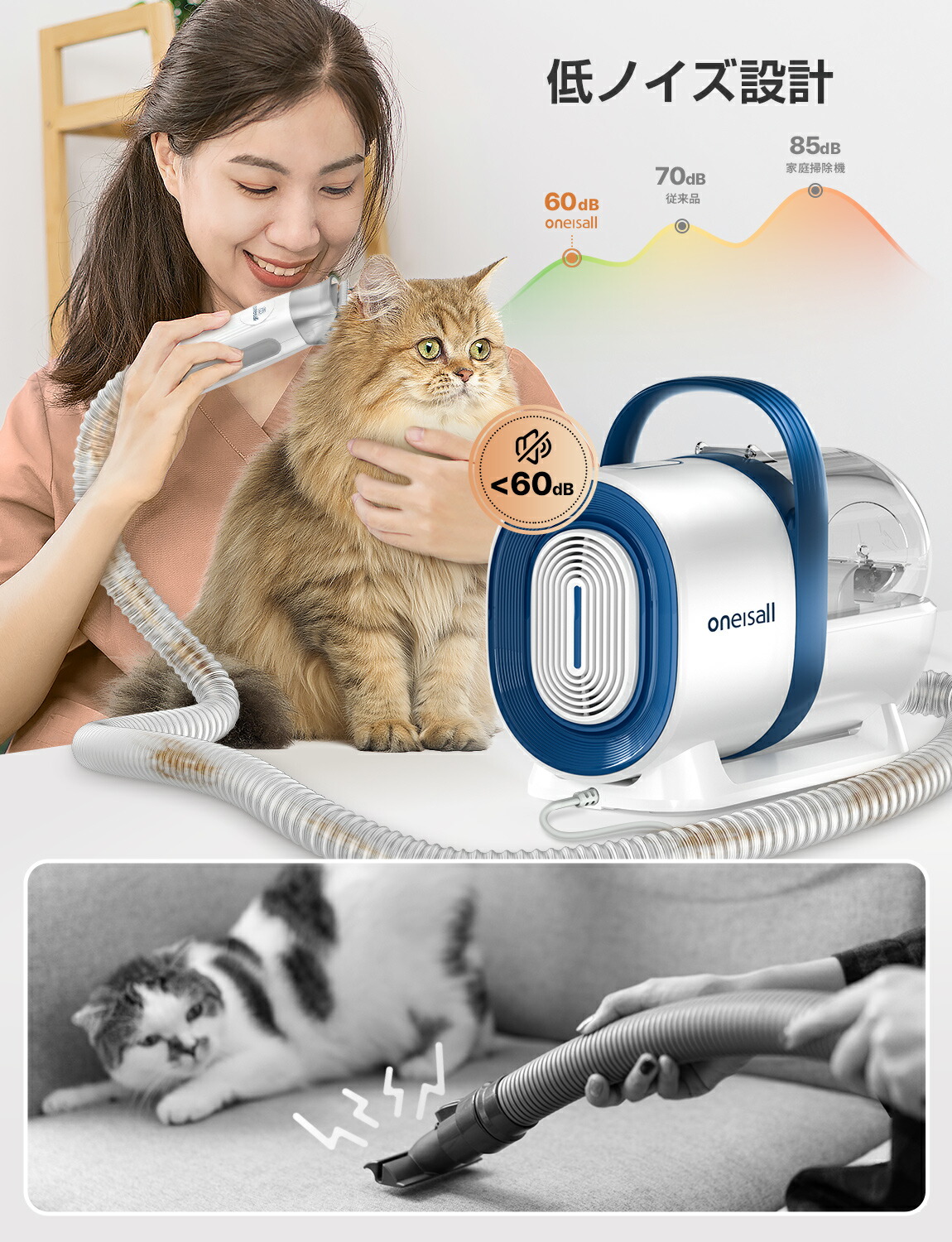 楽天市場】【お買い物マラソン☆19,500円→14,500円】楽天Ranking1位