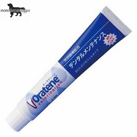 楽天市場】オーラティーンデンタルメンテナンス 70gの通販