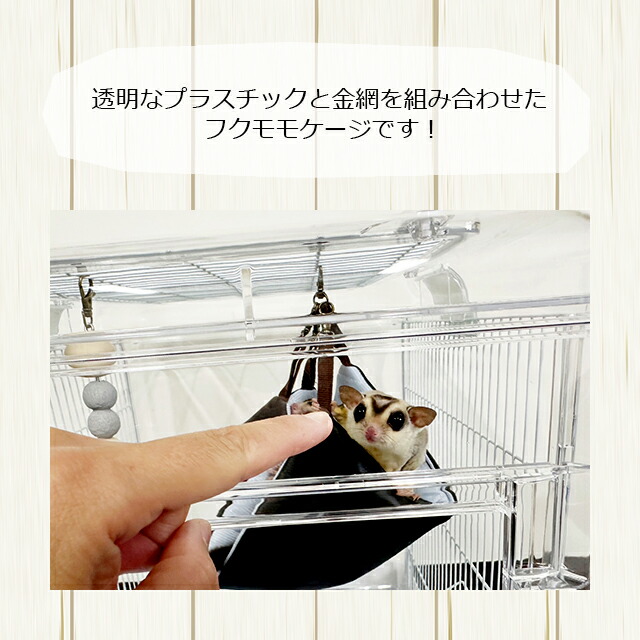 楽天市場】SANKO イージーホーム クリアー モモンガ40 WH