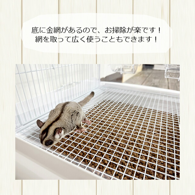 楽天市場】SANKO イージーホーム クリアー モモンガ40 WH