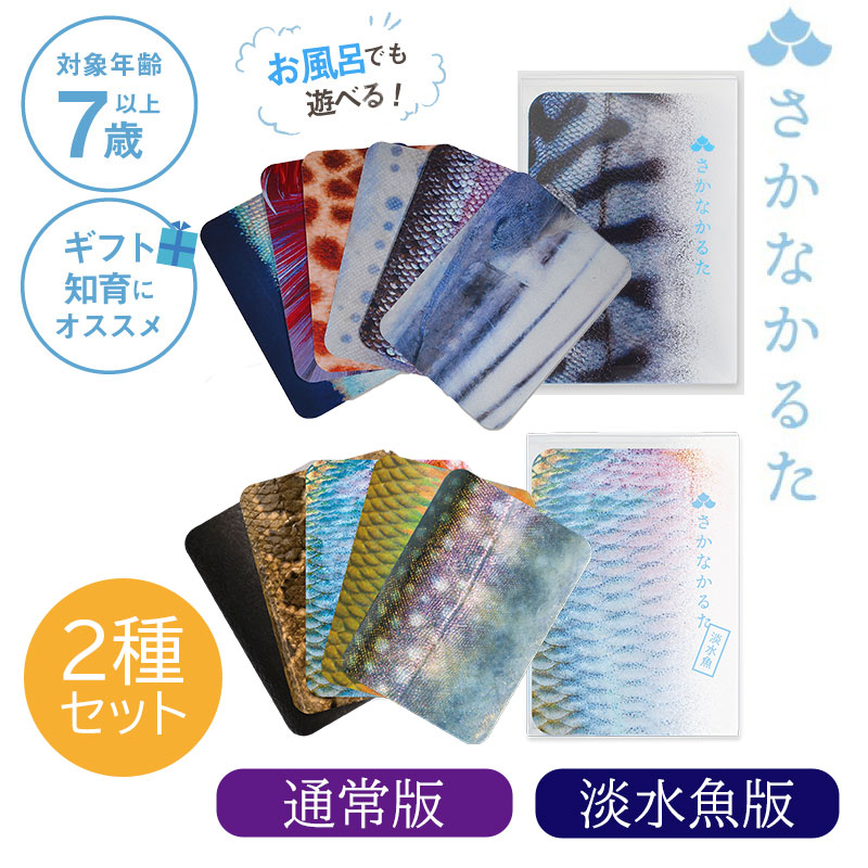 五色英語かるたⅡ 11箱セット 五色英語かるた 11箱セット Amazon.co