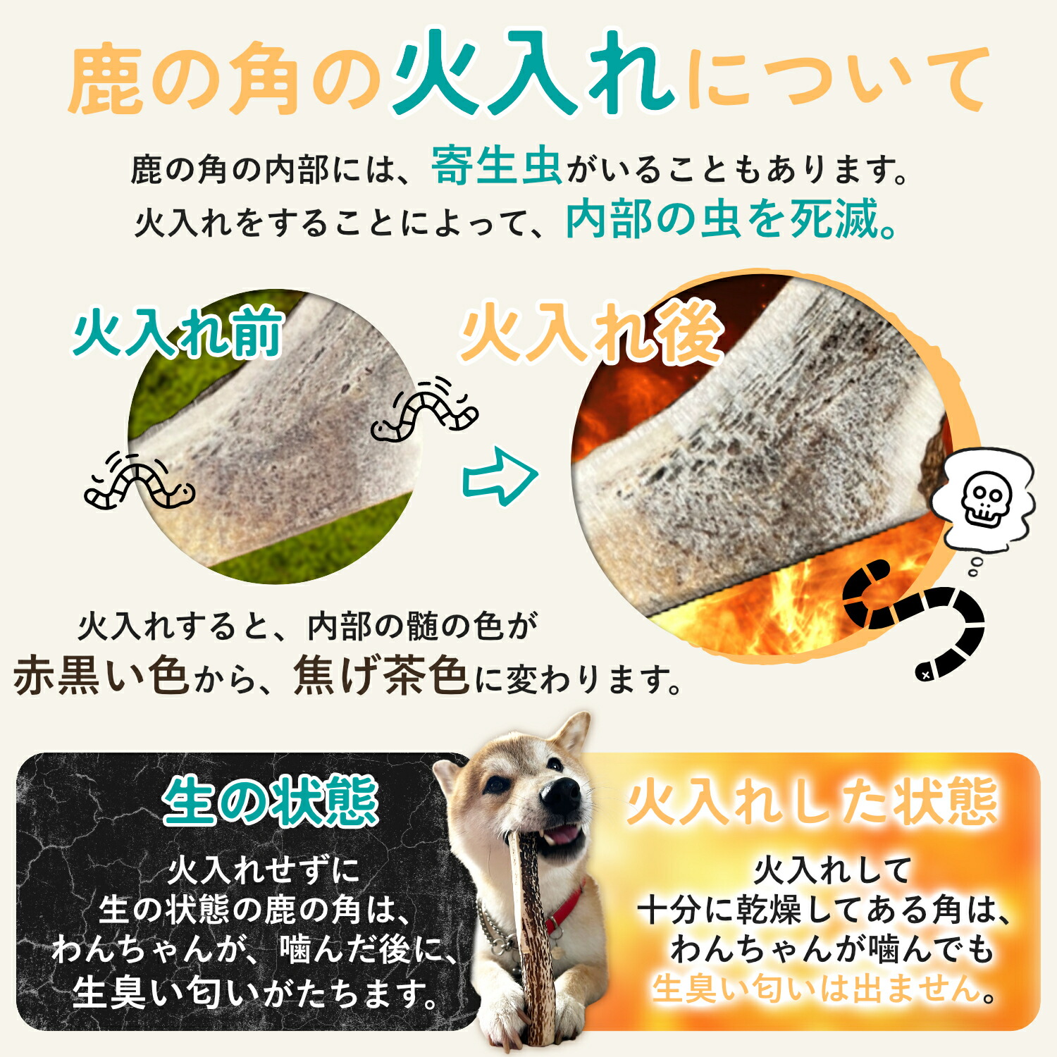 楽天市場】【 10cm 小型犬 】鹿の角 犬 おもちゃ 犬用 しかのつの 噛む