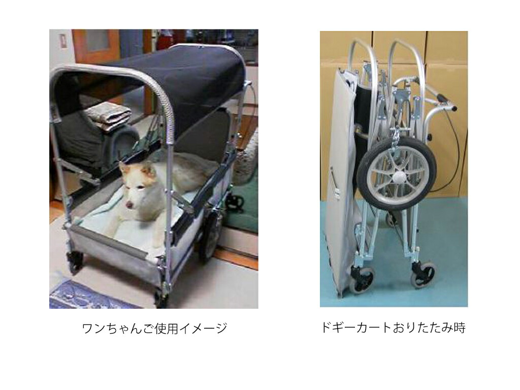 楽天市場】特注！スワン ドギーカート ビッグタイプ 浅底型 納期約2