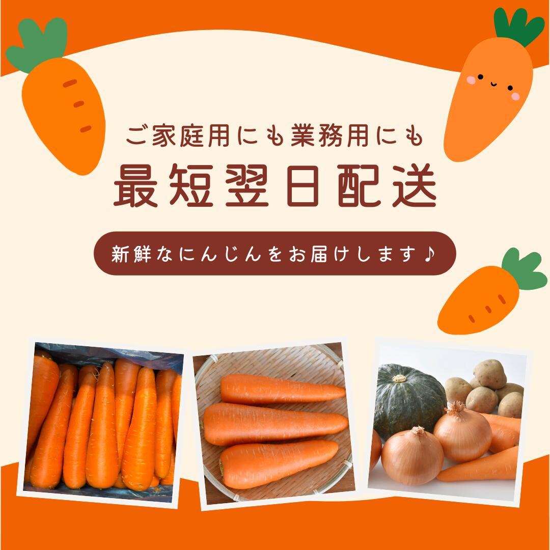 楽天市場】人参 にんじん 2Lまたは3L 大きいサイズ 業務用 ご家庭用