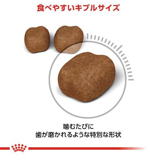 楽天市場】ロイヤルカナン フィーライン ケア ニュートリション