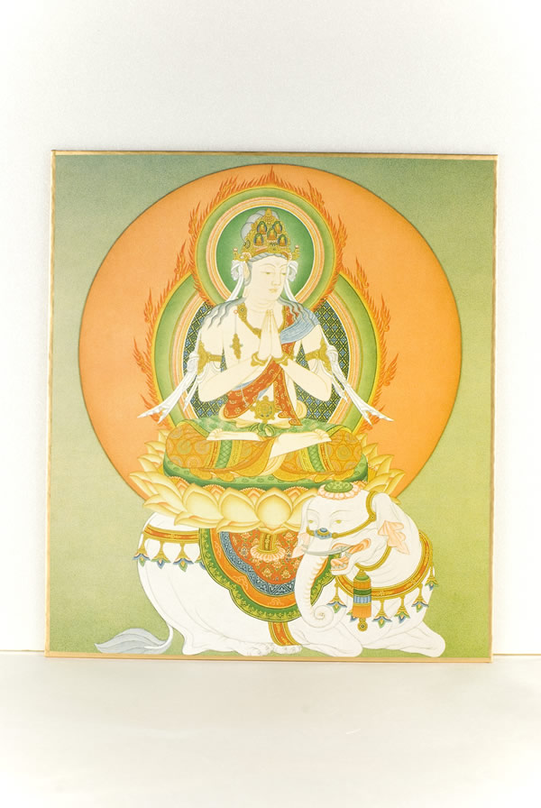 楽天市場】仏画色紙 辰・巳歳の守り本尊 普賢菩薩 : 仏像仏画チベット