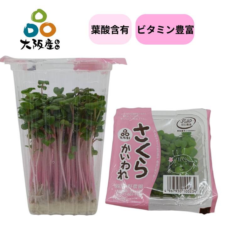 楽天市場】【 スプラウト 大阪産(もん) 】 さくら かいわれ かいわれ