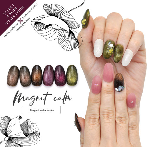 楽天市場】大人の マグネットネイル マグネット ダークカラー カラー