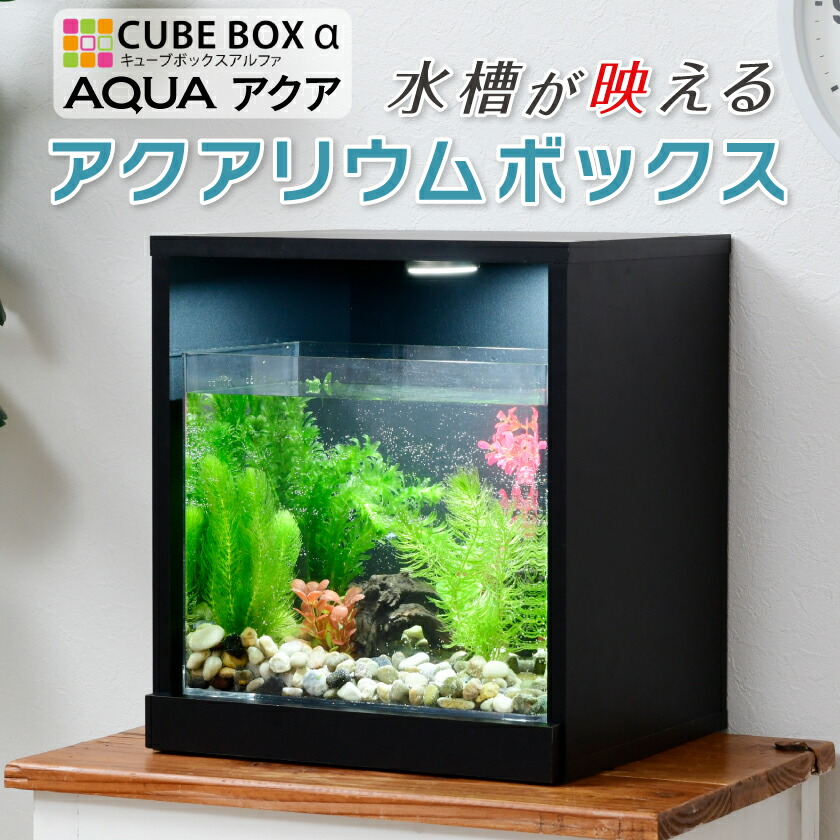 楽天市場】【増設用】 お部屋に小さな水族館 キューブボックスα アクア