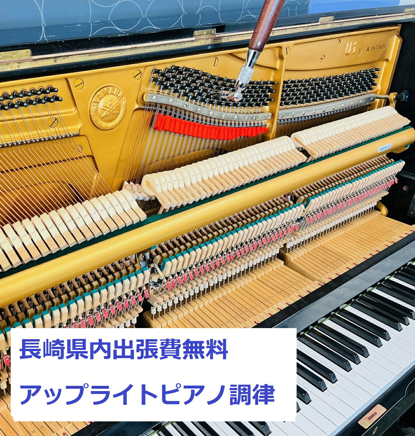 VICTOR ビクター V7 アップライト 【公式通販】