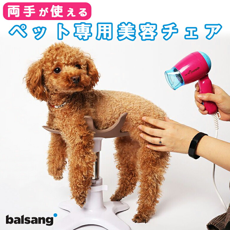楽天市場】samson salon サムソンサロン 小型犬 美容チェア ペット 犬