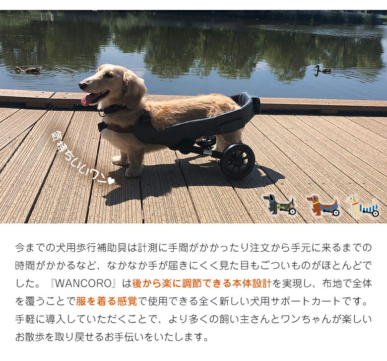 楽天市場】犬用車椅子 WANCORO ワンタッチ サイズ調整 小型 サポート