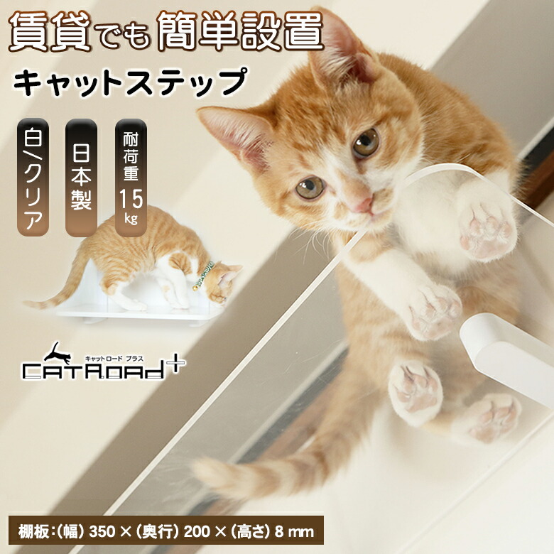 楽天市場】animacolle アニマコレ キャットステップ 白 クリア