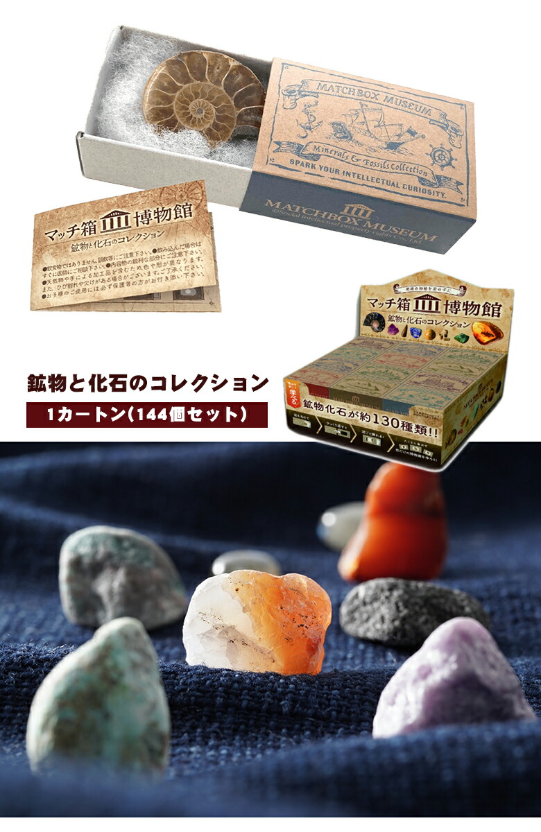 楽天市場】鉱物と化石のコレクション 1カートン(144個セット) 科学雑貨
