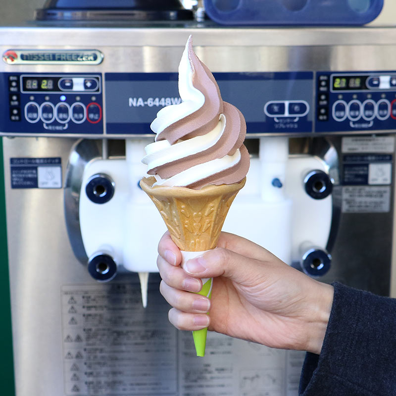 NISSEI 日世 ソフトクリームサーバー NA-6448WE ダブルシリンダー 自動