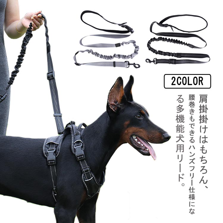 Hunter 犬用ジョギングポーチ＆リード 中型犬、大型犬 Hunter 犬用