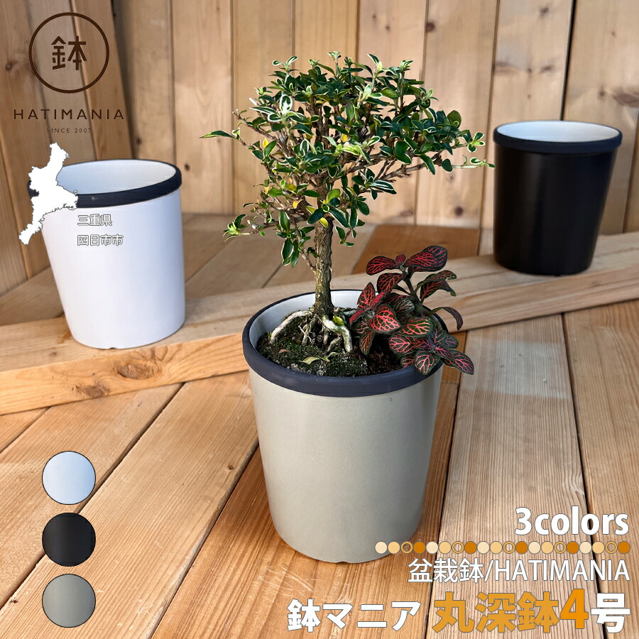 盆栽鉢上品美山ミニ盆栽鉢小品盆栽鉢正方鉢雲足山野草多肉植物サボテン