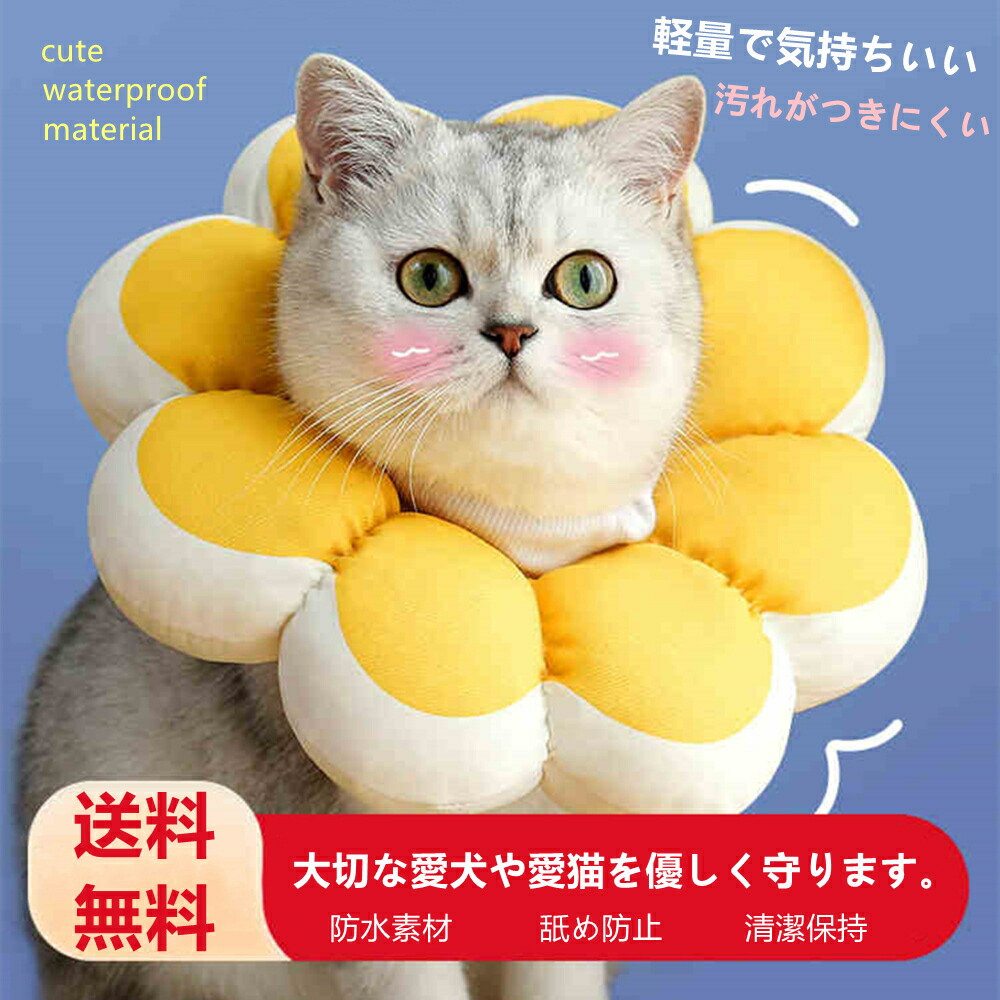 楽天市場】送料無料 エリザベスカラー 防水 S 猫 犬 ペット用回復襟