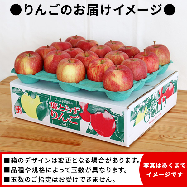 赤いリンゴ（緑の葉付き） 赤いリンゴ（緑の葉付き） 赤いリンゴ（緑の