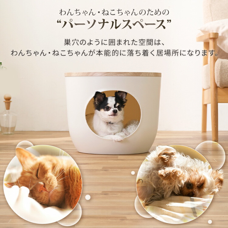 楽天市場】ペットハウス 猫 犬 室内 ドーム型 ふわふわ クッション付