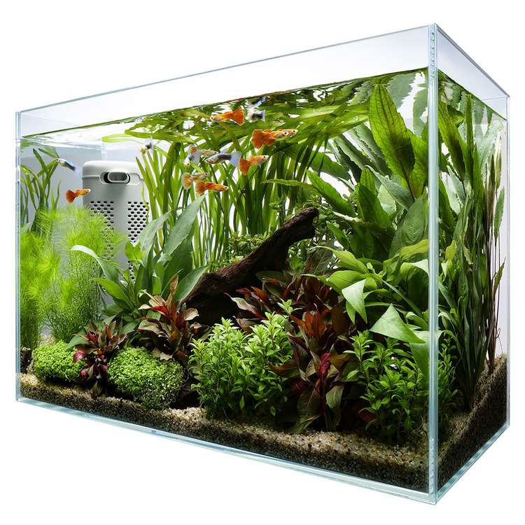 海水魚 飼育セット一式 引取り限定 東京荒川区 海水魚 飼育セット一式