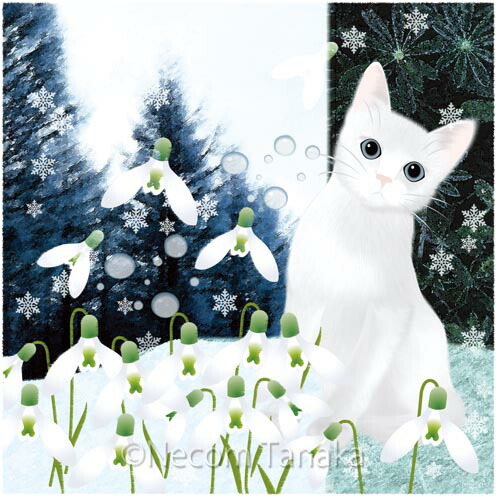 楽天市場】猫夢アート版画「スノードロップ」 白猫 【猫 アート