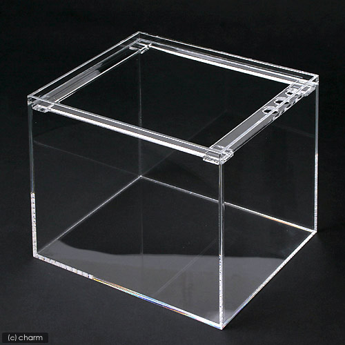 楽天市場】水槽 アクリル水槽 ラクシス No．12 （300×250