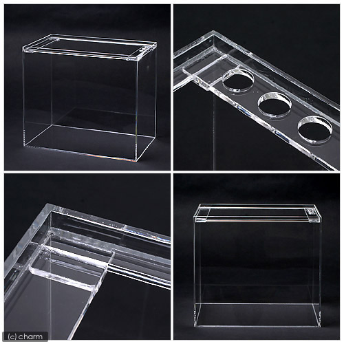 楽天市場】水槽 アクリル水槽 ラクシス No．28 （400×250