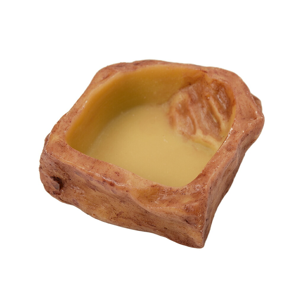 楽天市場】GEX エキゾテラ ウォーターディッシュ S 爬虫類 水入れ