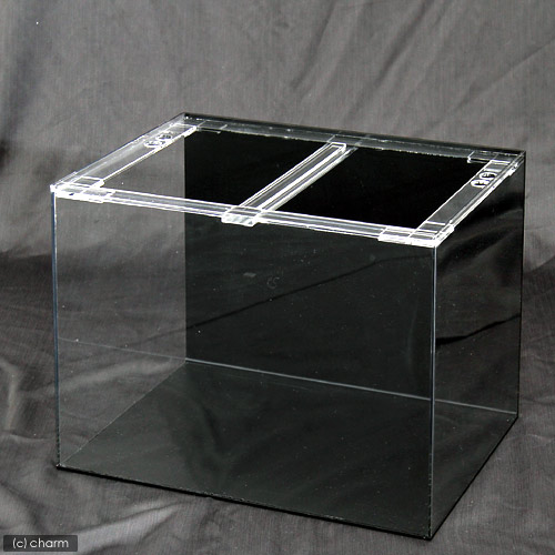 楽天市場】水槽 アクリル水槽 アクリルクリアタンク 底面・背面板黒
