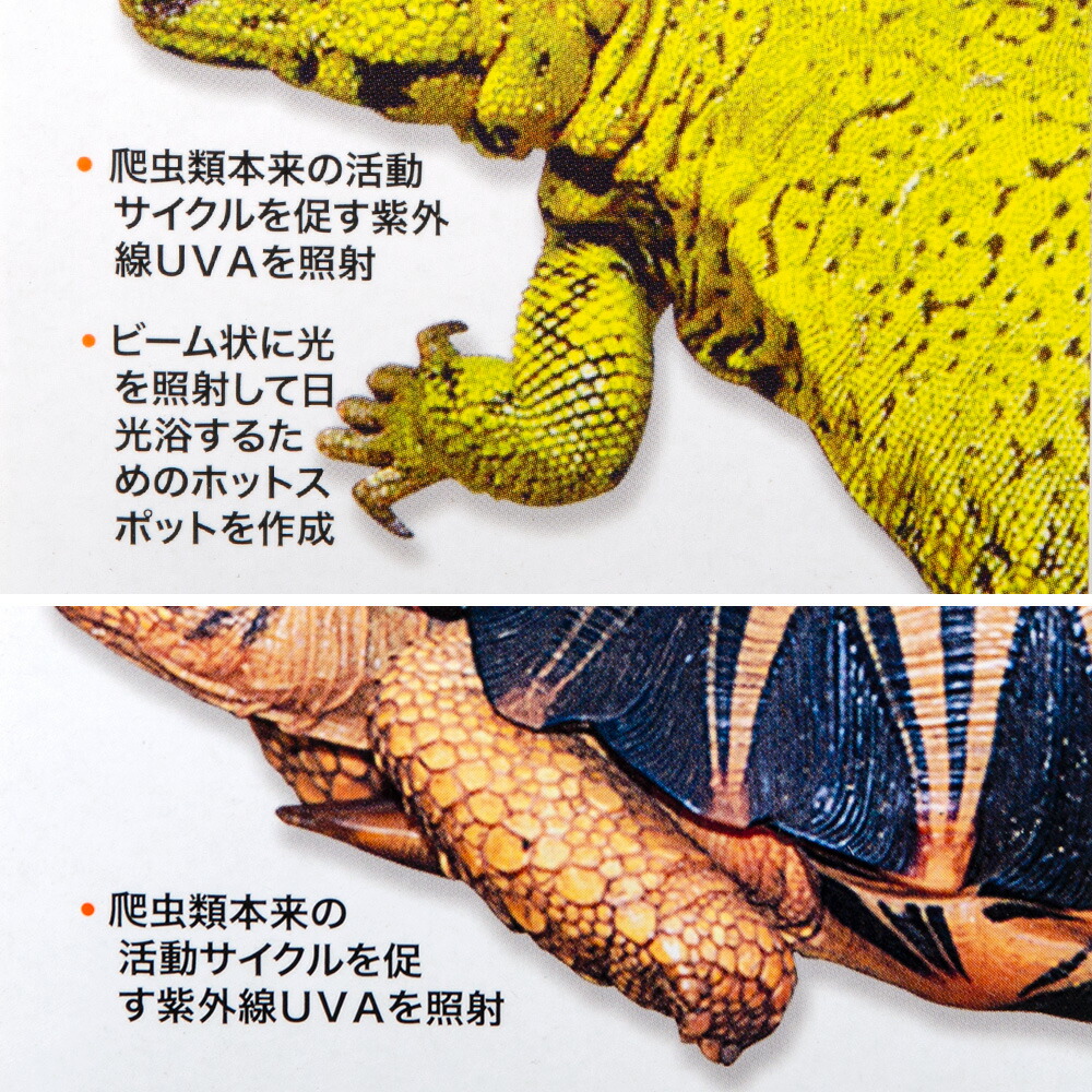 楽天市場】ZOOMED レプティ バスキングスポットランプ 100W