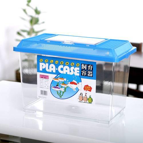 楽天市場】プラケース 飼育容器 大 青（365×215×250mm） 虫