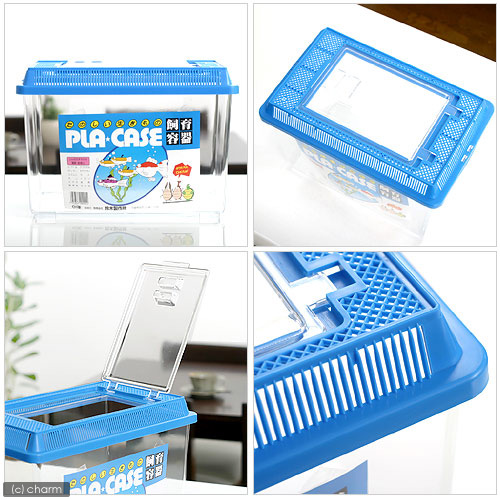 楽天市場】プラケース 飼育容器 中 青（290×185×205mm） 虫